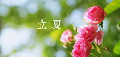 5月槐花香 立夏養(yǎng)生說“四防”