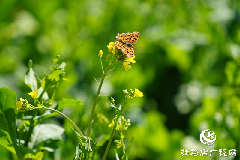 我們堅(jiān)守，為了早日重逢