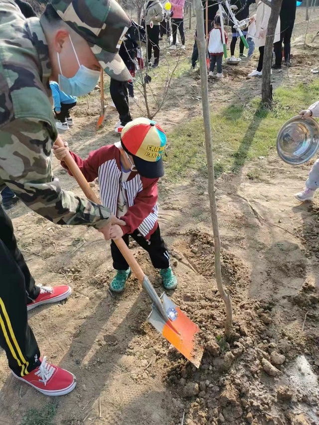 駐馬店市慧層兒園組織開展植樹節(jié)活動