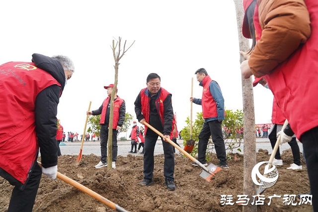 正陽縣總工會(huì)開展義務(wù)植樹活動(dòng)