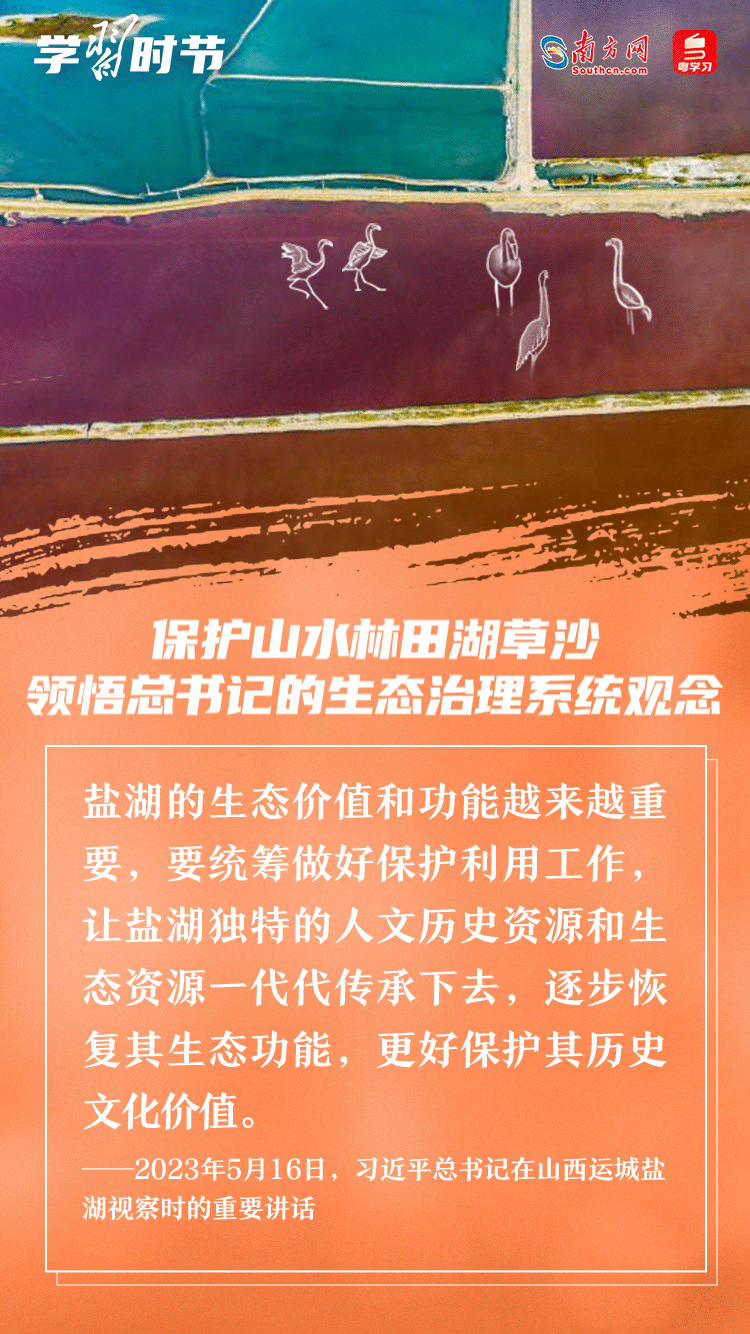 學(xué)習(xí)時節(jié)｜保護(hù)山水林田湖草沙 領(lǐng)悟總書記的生態(tài)治理系統(tǒng)觀念