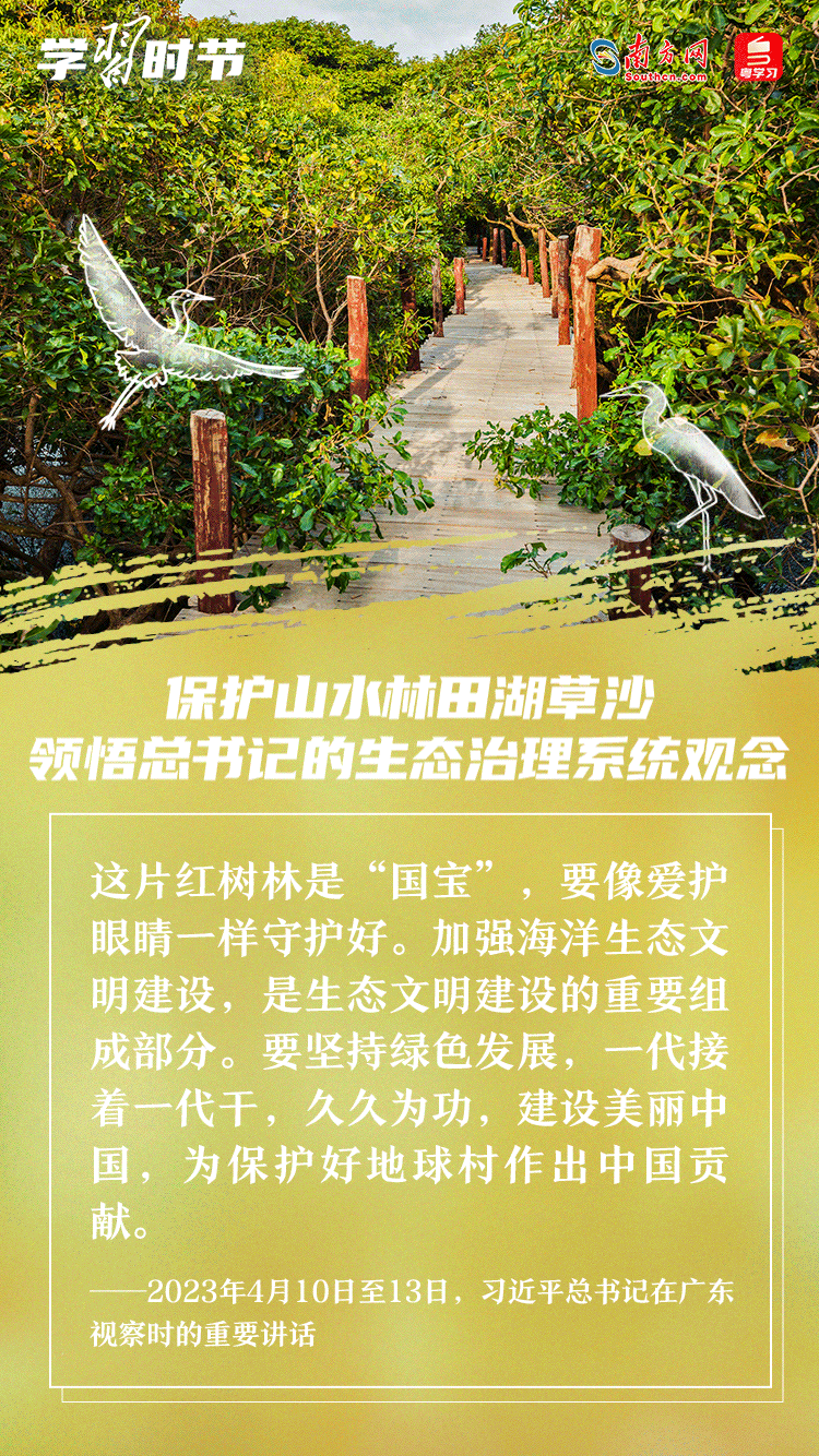 學(xué)習(xí)時節(jié)｜保護(hù)山水林田湖草沙 領(lǐng)悟總書記的生態(tài)治理系統(tǒng)觀念