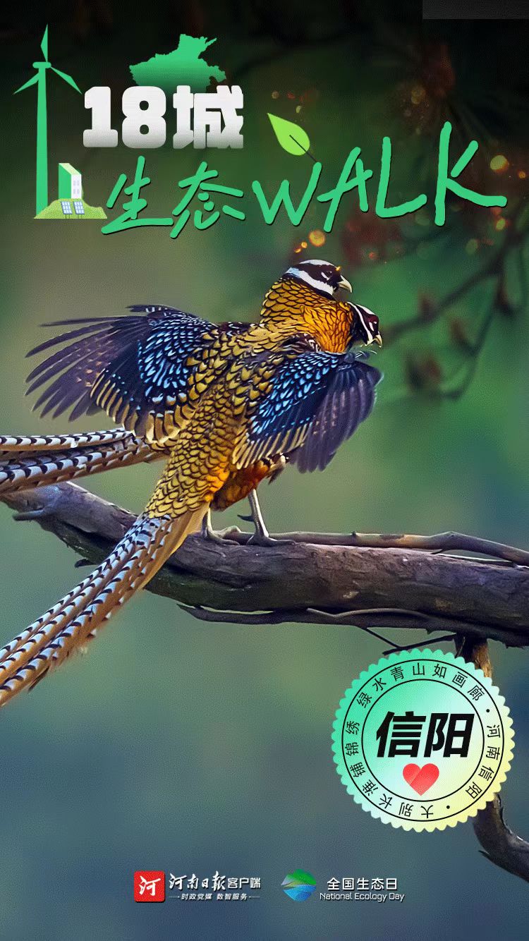 全國(guó)生態(tài)日丨“多巴胺”生態(tài)walk，這是你沒見過(guò)的河南