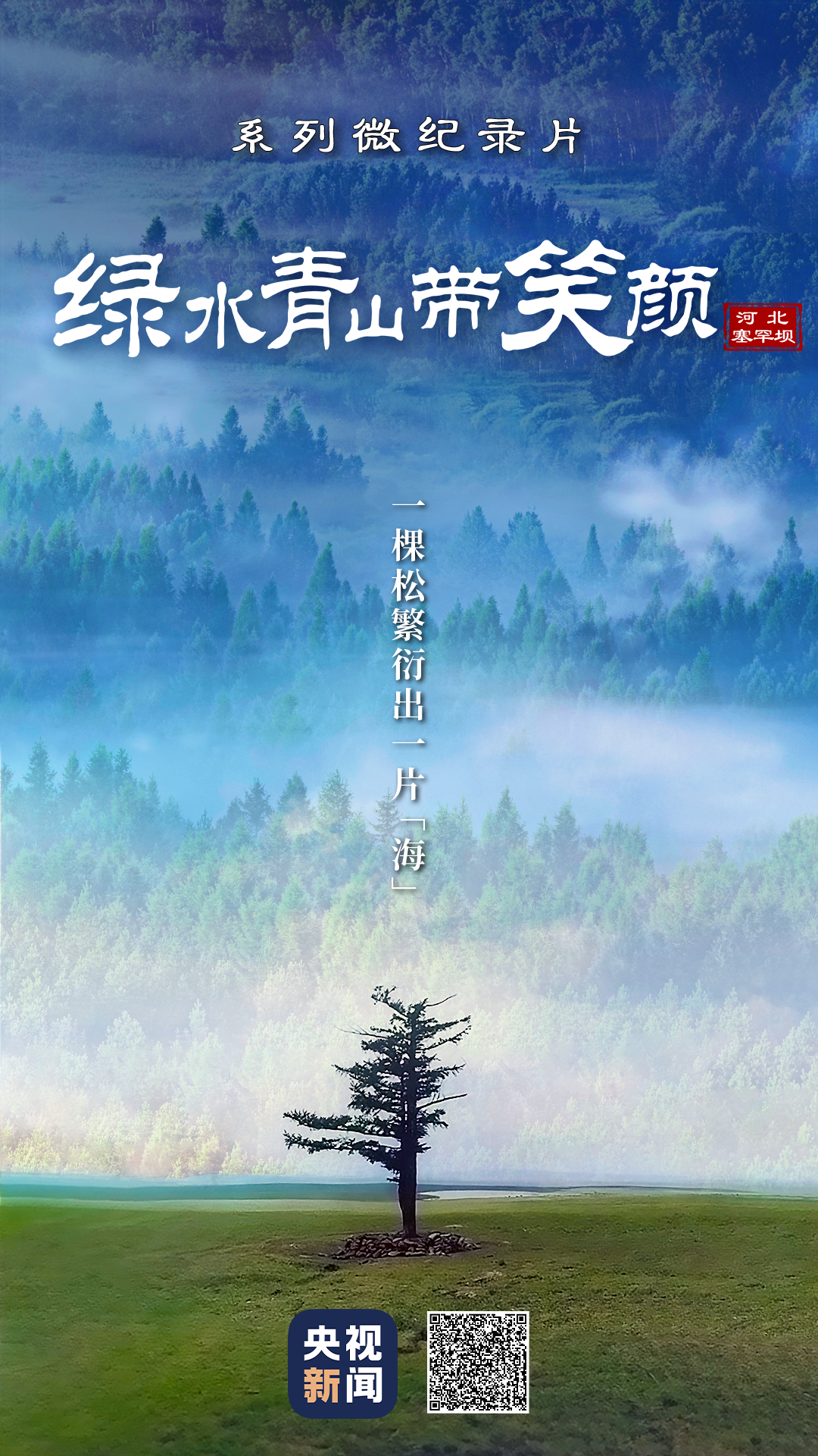 綠水青山帶笑顏丨一棵松繁衍出一片“海”
