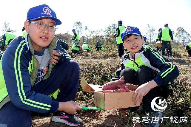 “田間”課堂 賦能學(xué)生快樂成長