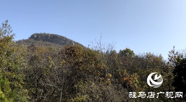 六大舉措”積極備戰(zhàn)森林防火緊要期