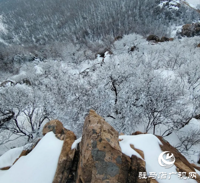 美呆了！羅漢山開啟雪凇、霧凇雙景齊現(xiàn)模式