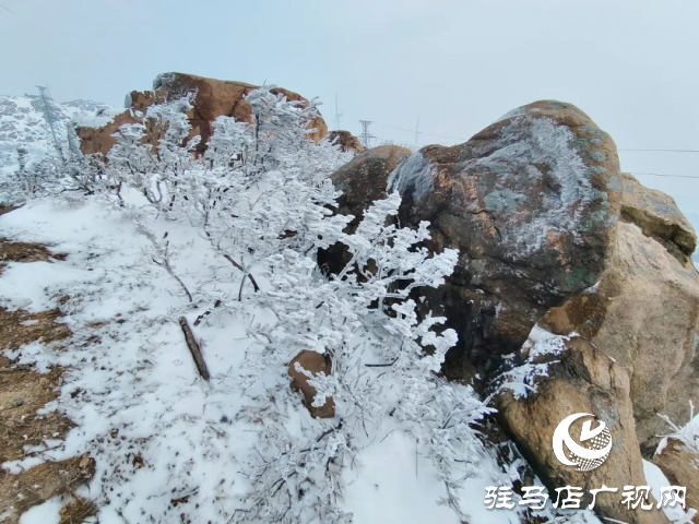 美呆了！羅漢山開啟雪凇、霧凇雙景齊現(xiàn)模式