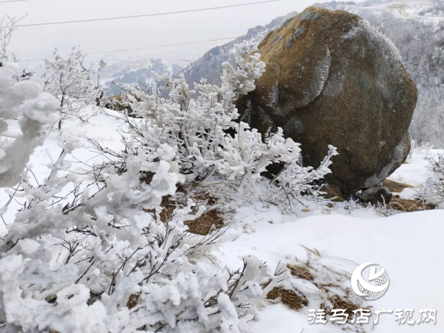 美呆了！羅漢山開啟雪凇、霧凇雙景齊現(xiàn)模式