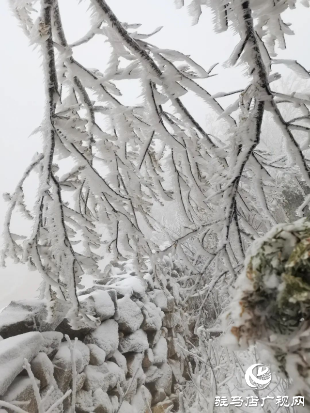 美呆了！羅漢山開啟雪凇、霧凇雙景齊現(xiàn)模式