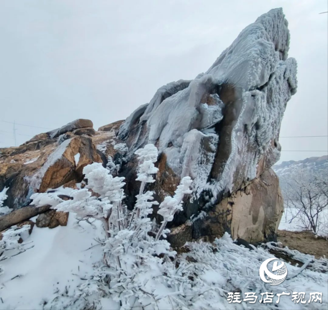 美呆了！羅漢山開啟雪凇、霧凇雙景齊現(xiàn)模式