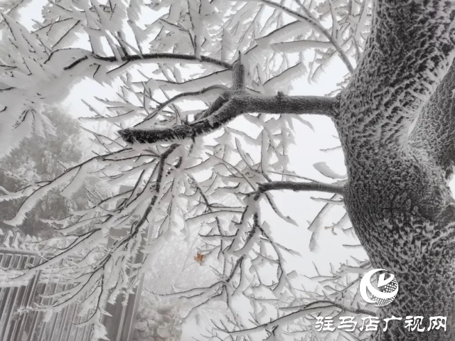 美呆了！羅漢山開啟雪凇、霧凇雙景齊現(xiàn)模式