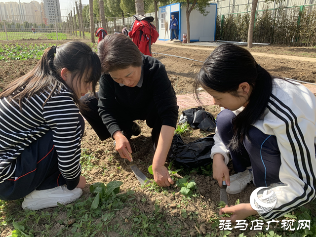 駐馬店市實驗中學(xué)師生：走進(jìn)自然 感受勞動之美