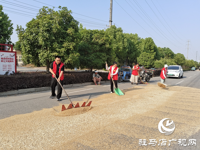 駐馬店經(jīng)濟開發(fā)區(qū)賈莊居委會成立“三夏”生產(chǎn)服務應急小分隊幫助群眾收麥