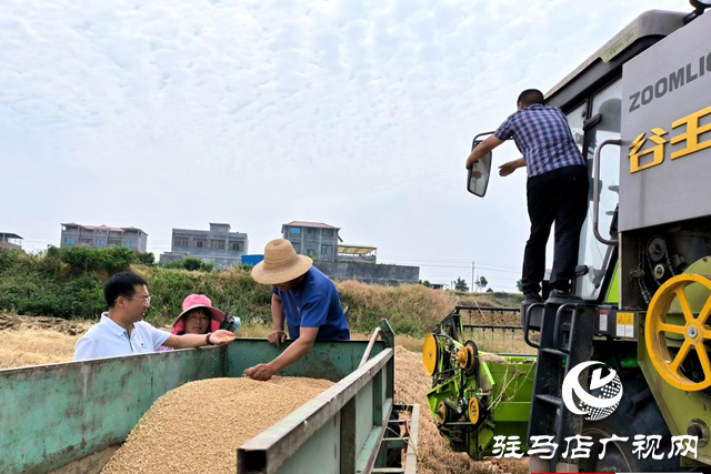 泌陽縣王店鎮(zhèn)：全力抓好“三夏”生產(chǎn) 確保夏糧豐產(chǎn)豐收