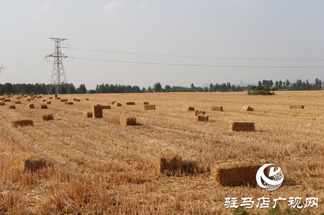 驛城區(qū)香山街道積極做好秸稈禁燒工作