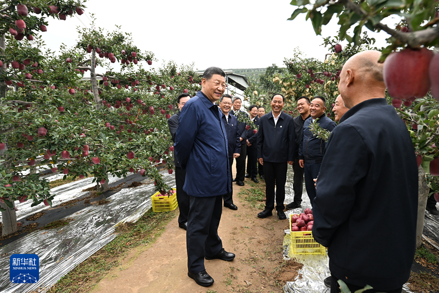 習(xí)近平在甘肅考察時(shí)強(qiáng)調(diào) 深化改革勇于創(chuàng)新苦干實(shí)干富民興隴 奮力譜寫(xiě)中國(guó)式現(xiàn)代化甘肅篇章