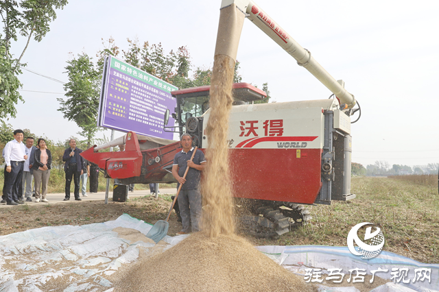 平輿縣舉行芝麻機(jī)收現(xiàn)場(chǎng)觀摩會(huì)