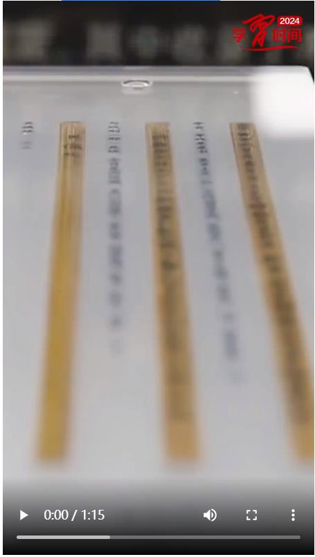 總書記，我想對(duì)您說｜守護(hù)“冷門絕學(xué)” “牘”懂文脈共鳴