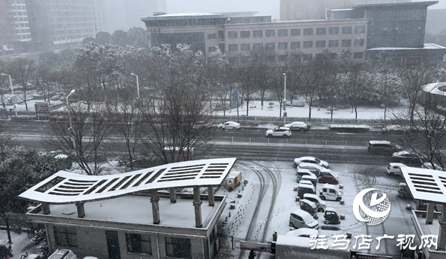 駐馬店：加強(qiáng)農(nóng)田管理 應(yīng)對(duì)雨雪天氣