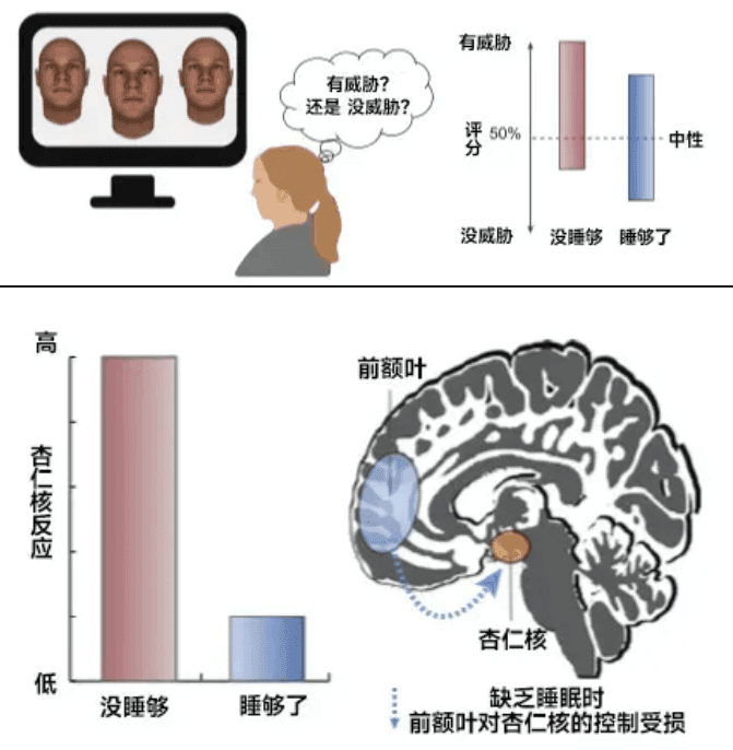 你以為的正?，F(xiàn)象，其實(shí)是睡眠不足！這份“熬夜急救包”請收好