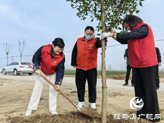 驛城區(qū)水屯鎮(zhèn)：“志愿紅”繪就“生態(tài)綠”