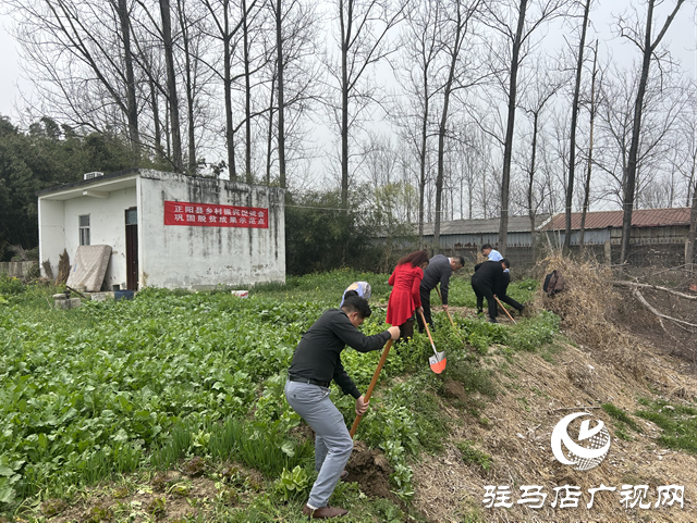 正陽縣：捐贈果樹送溫暖 愛心助農(nóng)添新綠