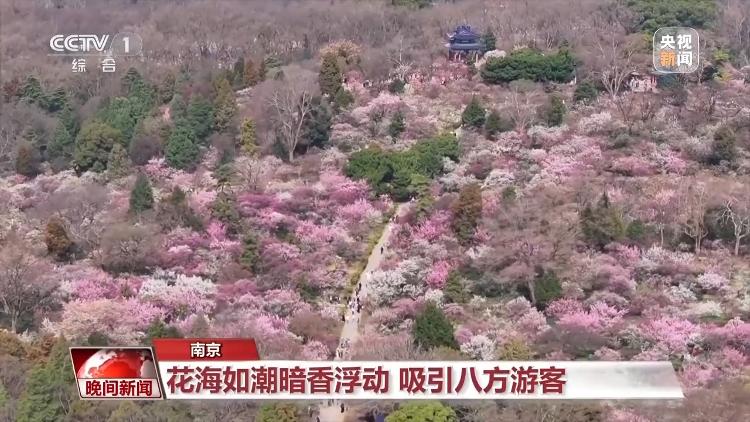 春天就是要看花花花花花，熱門春游目的地藏在這里