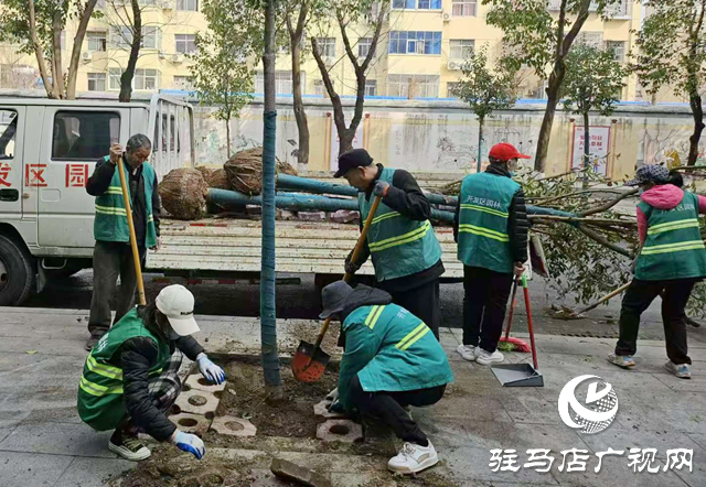 駐馬店經濟開發(fā)區(qū)城市管理局：“植”此青綠繪新篇