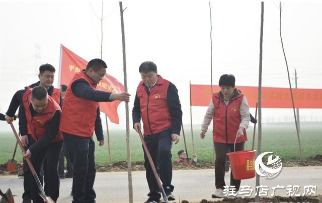 平輿縣干部職工開展義務植樹活動為城市生態(tài)建設(shè)增添新綠