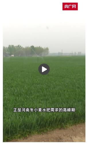 降水緩解部分旱情 河南多部門行動讓小麥“喝飽水”
