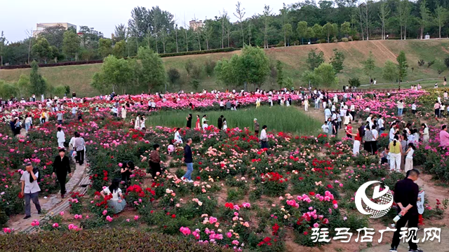 綠意蔥蘢花滿城！確山縣住建局精心打造“城市大花園”