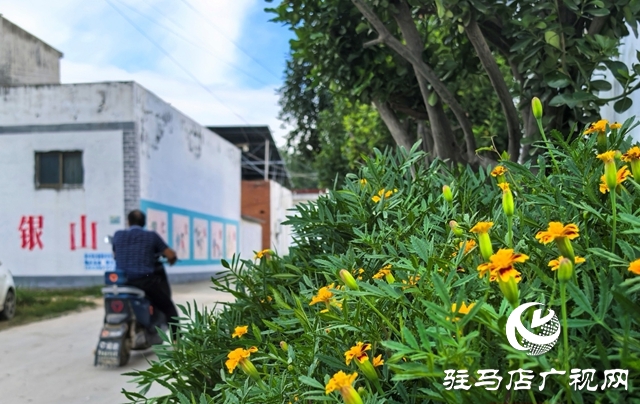 泌陽縣黃山口鄉(xiāng)：宜居鄉(xiāng)村宜共建，美好生活?yuàn)^斗來