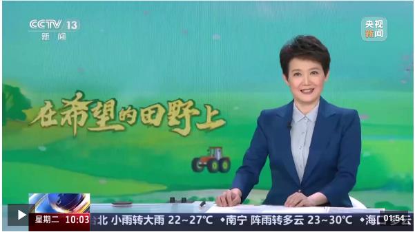 在希望的田野上 河南 小麥進入穩(wěn)產(chǎn)關鍵期 科技助力田管