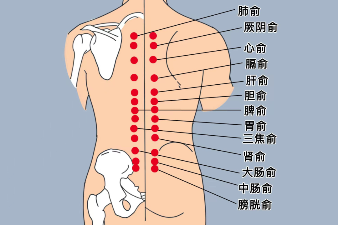 春夏交替易疲勞，4件事養(yǎng)好精力