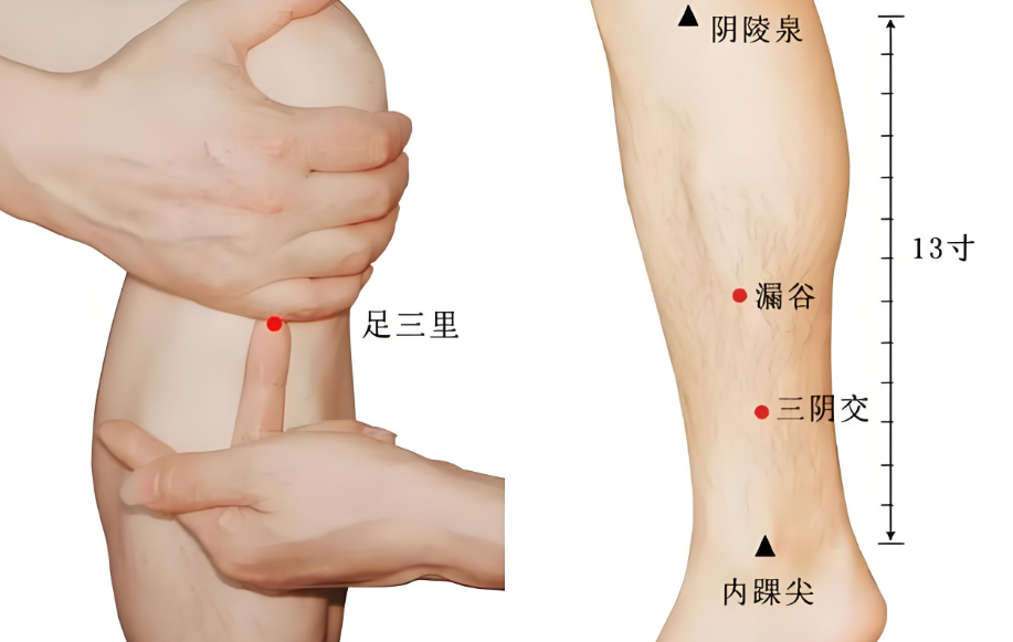 春夏交替易疲勞，4件事養(yǎng)好精力