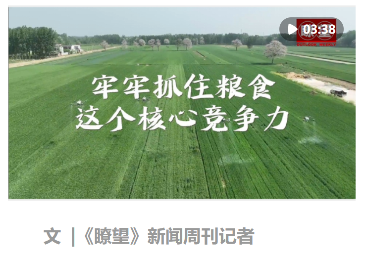 瞭望·治國(guó)理政紀(jì)事｜牢牢抓住糧食這個(gè)核心競(jìng)爭(zhēng)力