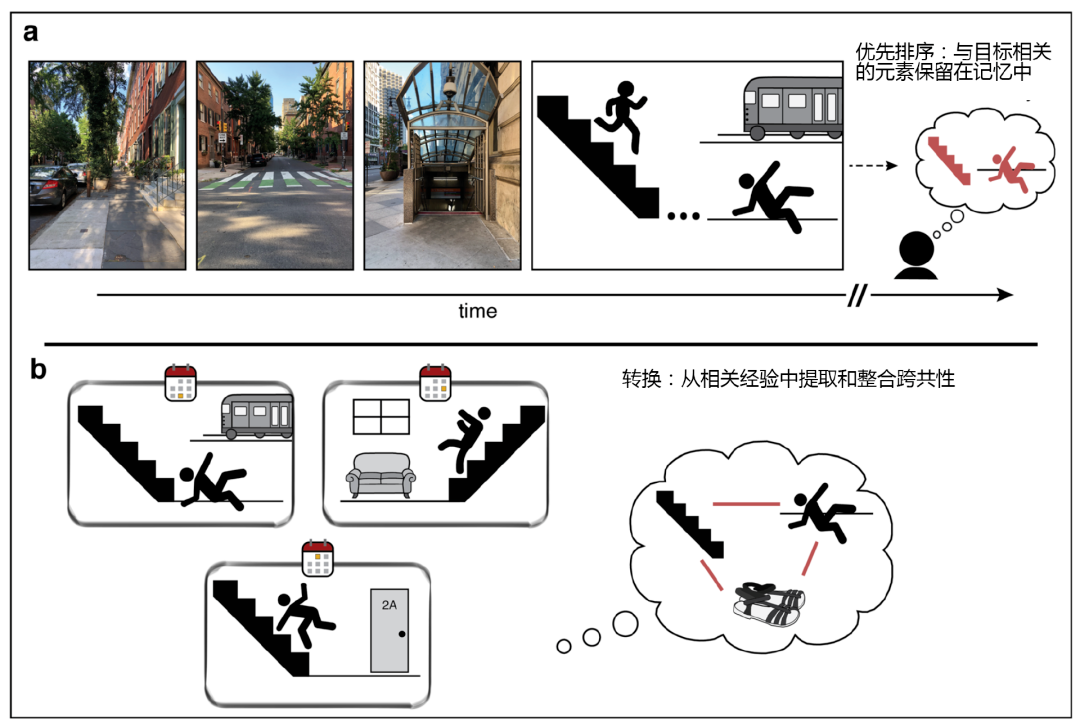 警惕！6個(gè)常見習(xí)慣，正在悄悄“偷走”你的記憶力