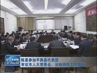 陳星參加平輿代表團(tuán)審議市人大常委會、法檢兩院工作報